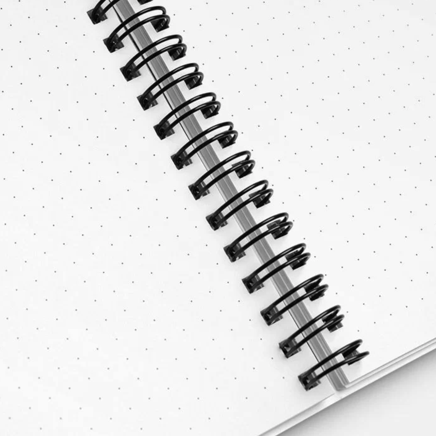 2023 Mexica New Year (Akatl/Reed/11) - Spiral Notebook Journal