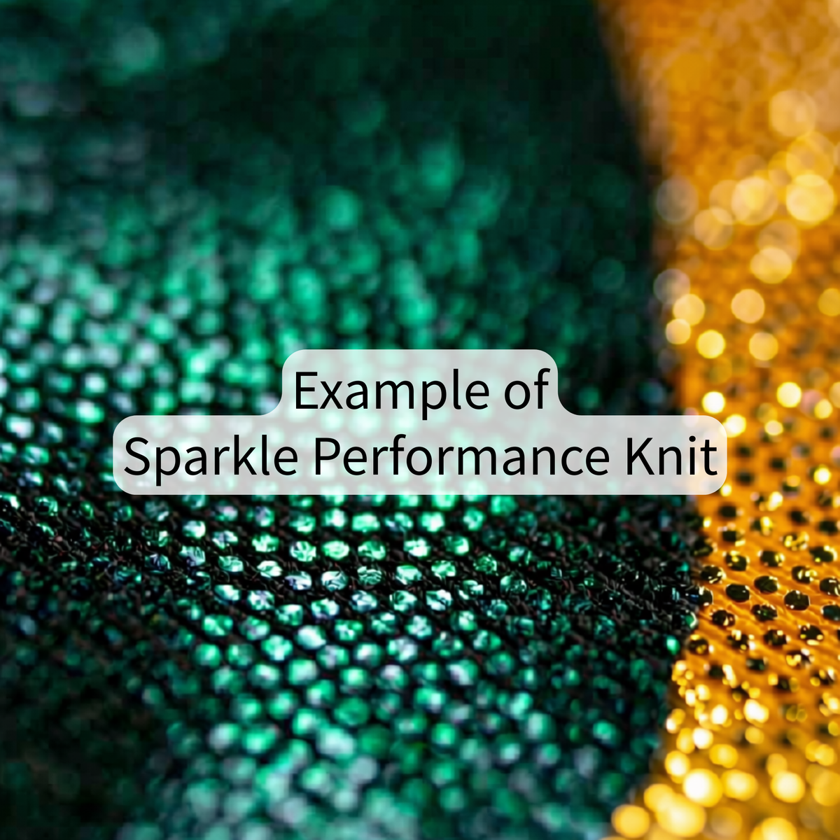 Day of the Dead Marigold – Sparkle Bike Shorts