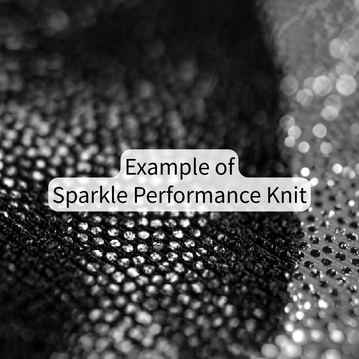 Day of the Dead Black & Silver Calavera – Sparkle Bike Shorts