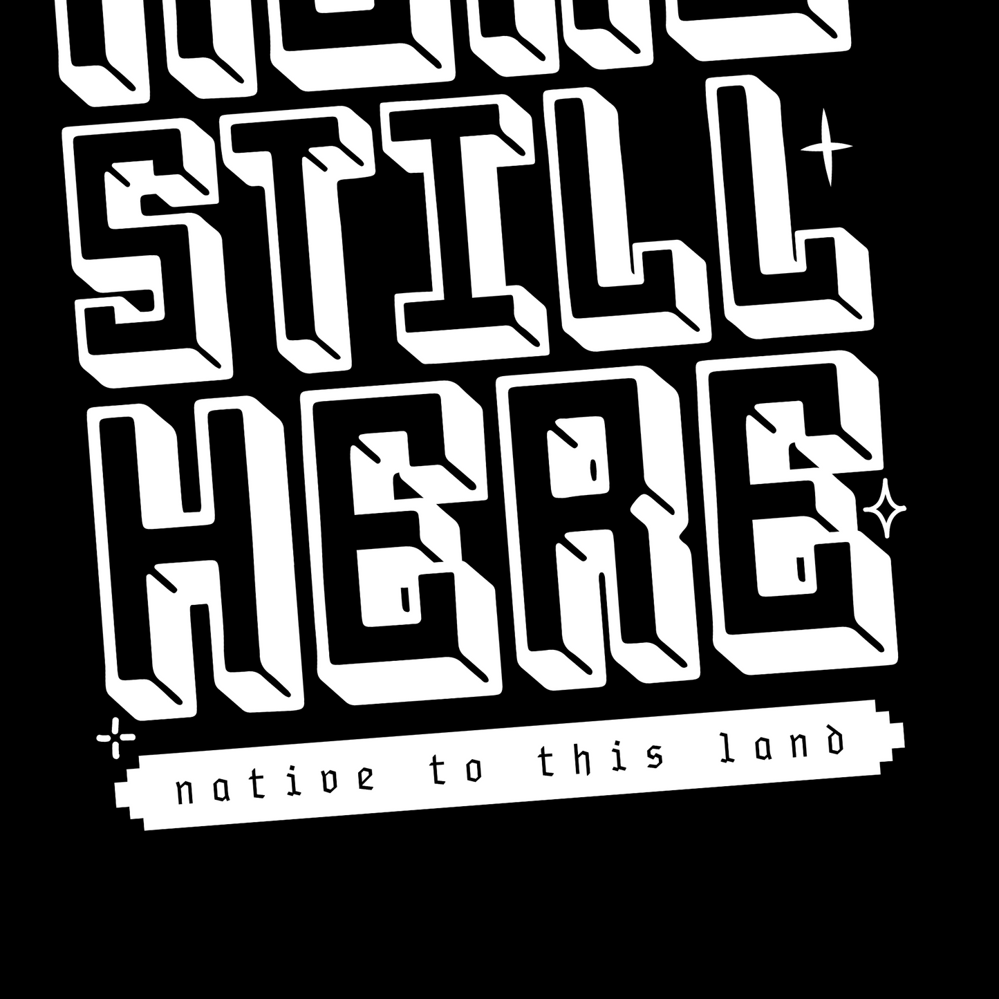 BEEN HERE STILL HERE (native to this land) - Unisex T-Shirt