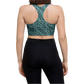 Jarrito Glaze - Longline Sport Bra (3 colors)