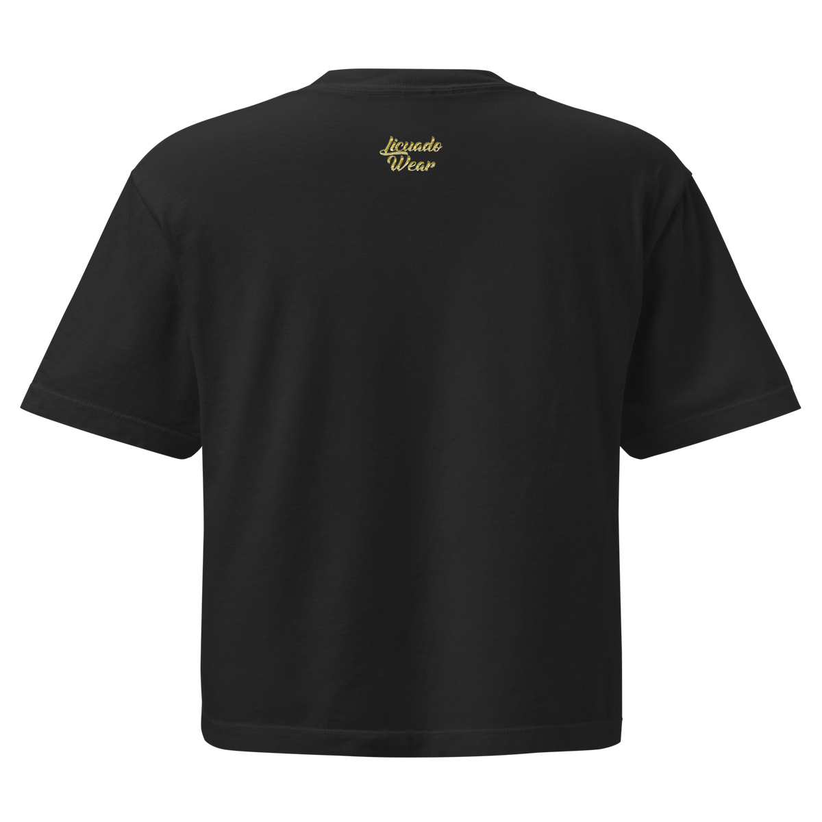 Left My Heart At Chicano Park - Women’s Heavyweight Boxy T-Shirt