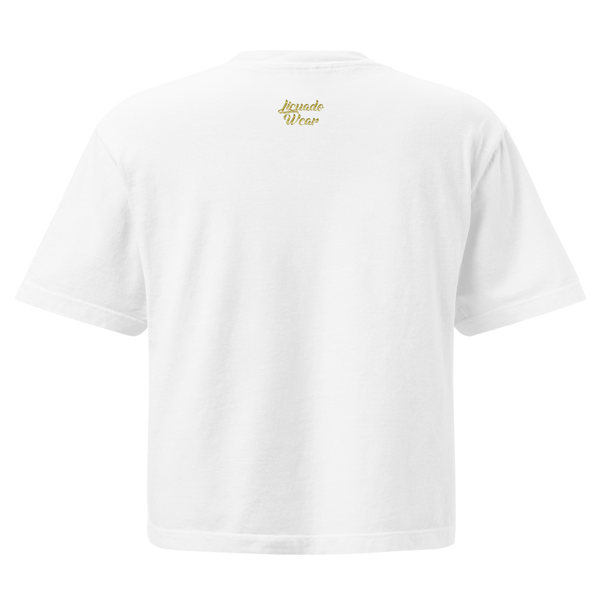 Left My Heart At Chicano Park - Women’s Heavyweight Boxy T-Shirt