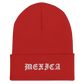 Mexica - Embroidered Cuffed Beanie