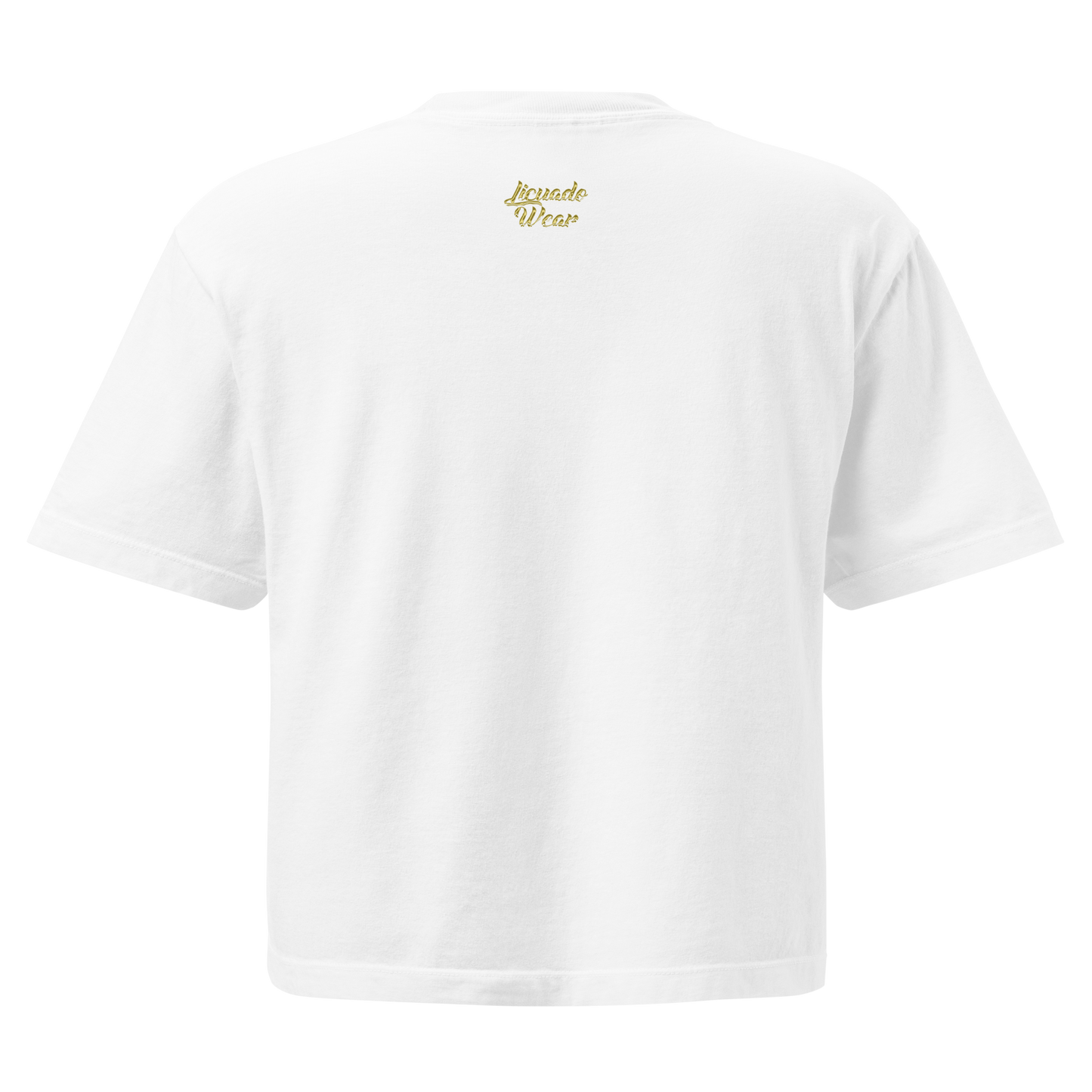 Left My Heart At Chicano Park - Women’s Heavyweight Boxy T-Shirt