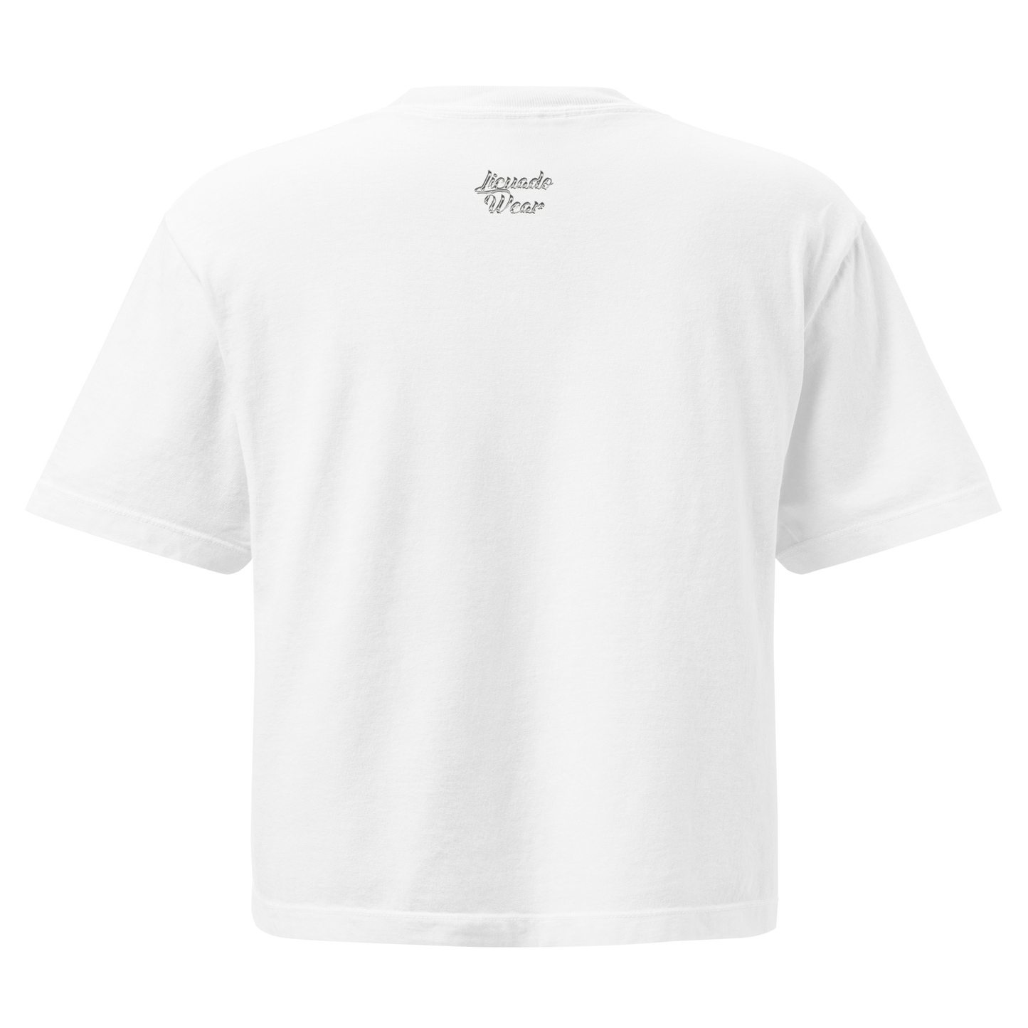 Left My Heart At Chicano Park - Women’s Heavyweight Boxy T-Shirt